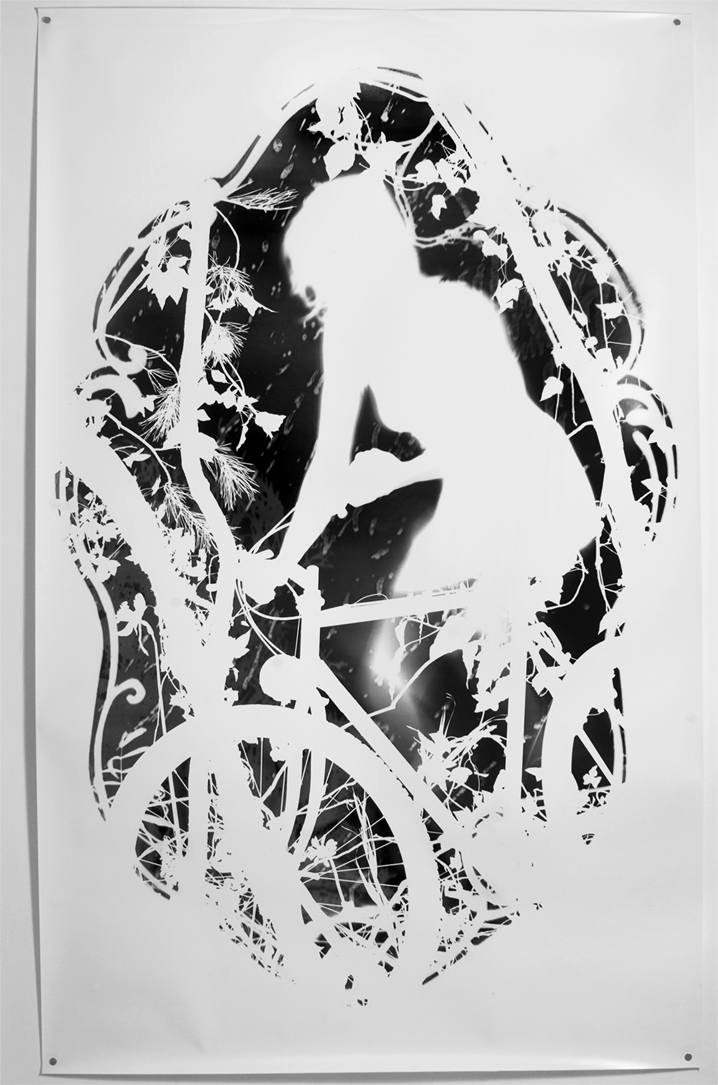 photogram, 220cm x 140cm