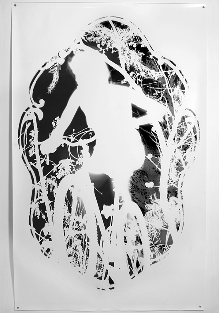 photogram, 220cm x 140cm